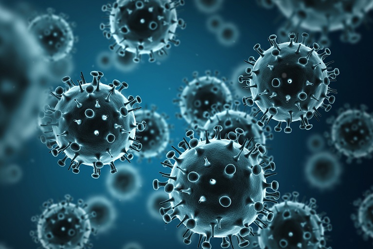 Tammy Freeman Influenza Virus Health Tips