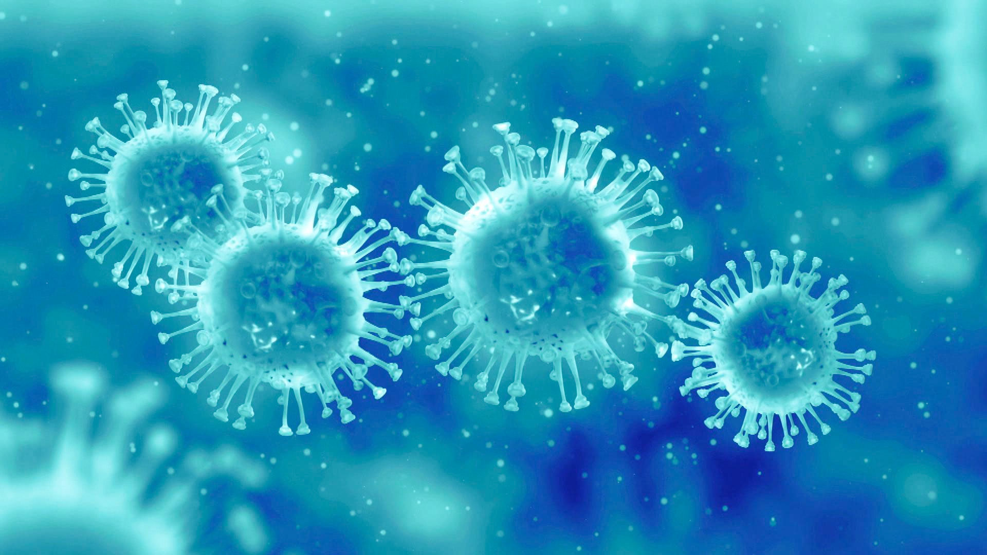 Influenza Health Tips by Tammy Freeman